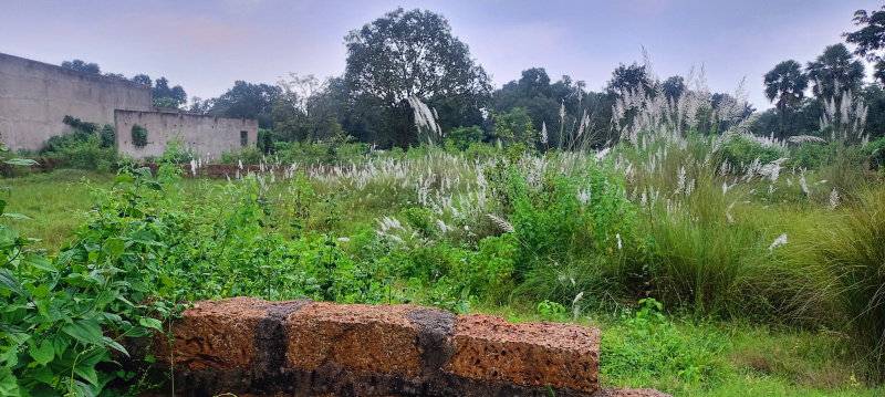  8000 Sq.ft. Commercial Land for Sale in Trisulia, Cuttack