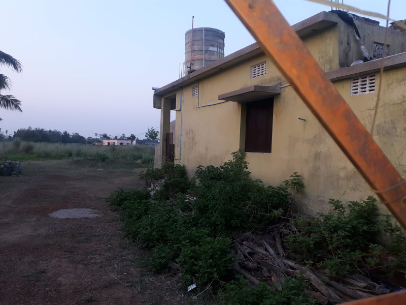  1000000 Sq.ft. Industrial Land for Sale in Paradip, Jagatsinghapur