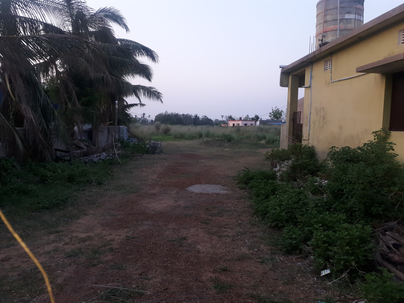 1000000 Sq.ft. Industrial Land for Sale in Paradip, Jagatsinghapur