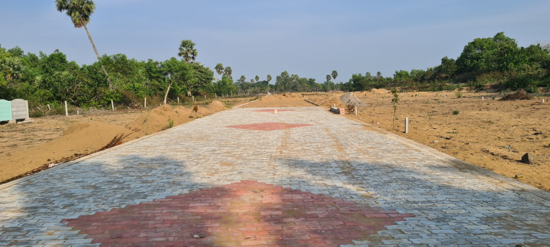  1600 Sq.ft. Agricultural/Farm Land for Sale in Bhapur, Dhenkanal