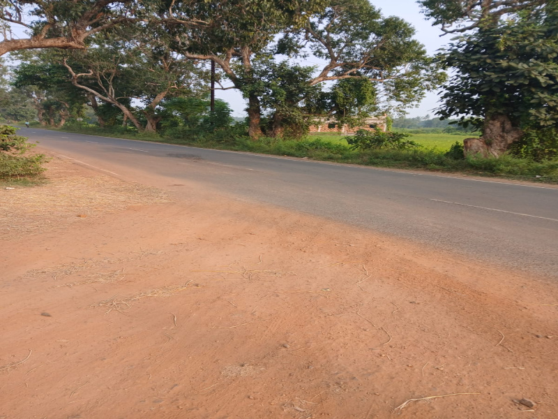  30000000 Sq.ft. Industrial Land for Sale in Jagatpur, Cuttack