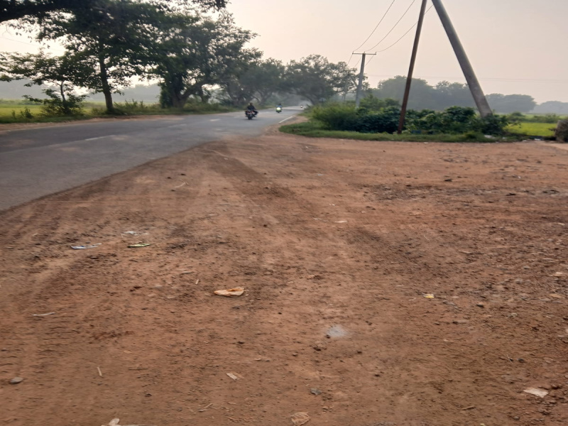  7000 Sq.ft. Commercial Land for Sale in Swarga Dwar Road, Puri