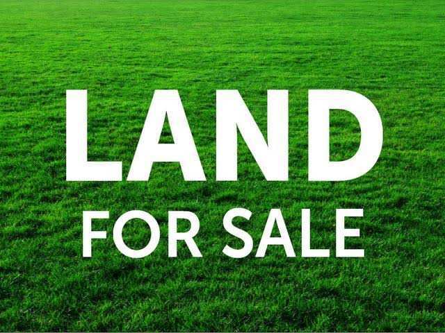 Agricultural Land 11300 Sq.ft. for Sale in