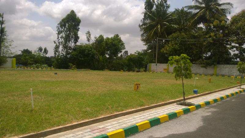  1200 Sq.ft. Residential Plot for Sale in Chikka Tirupathi, Bangalore