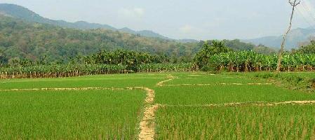  Agricultural Land for Sale in Banbasa, Champawat