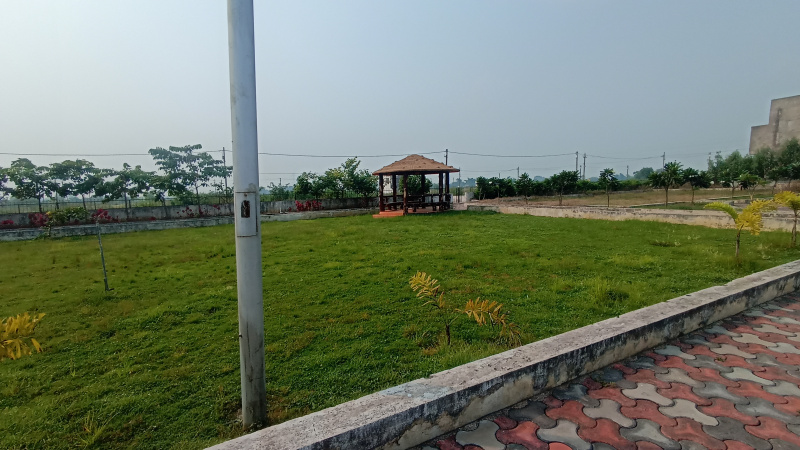  Residential Plot 1200 Sq.ft. for Sale in Sendri, Bilaspur