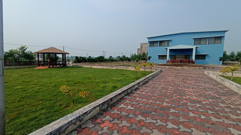  Residential Plot 1200 Sq.ft. for Sale in Sendri, Bilaspur