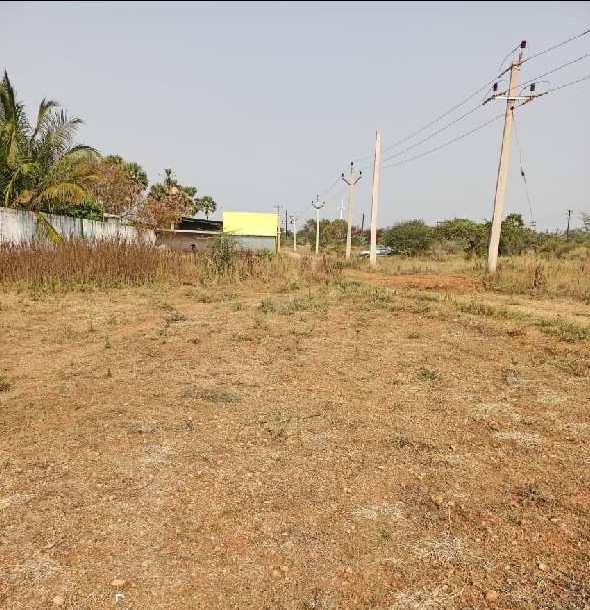 50 Cent Residential Plot for Sale in Tenkasi, Tirunelveli