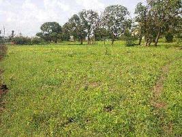  Agricultural Land for Rent in Chakan, Pune