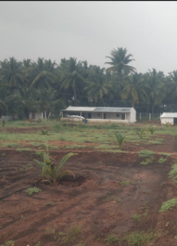  Agricultural Land for Sale in Achipatti, Coimbatore
