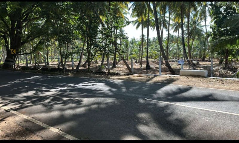  Agricultural Land 4 Acre for Sale in Pollachi, Coimbatore