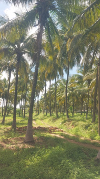  Agricultural Land for Sale in Udayampalayam, Coimbatore