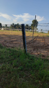  Agricultural Land for Sale in Anaimalai, Coimbatore