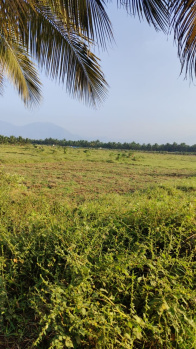  Agricultural Land for Sale in Achipatti, Coimbatore