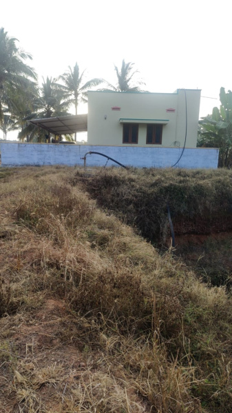  Agricultural Land 1 Acre for Sale in Pollachi, Coimbatore