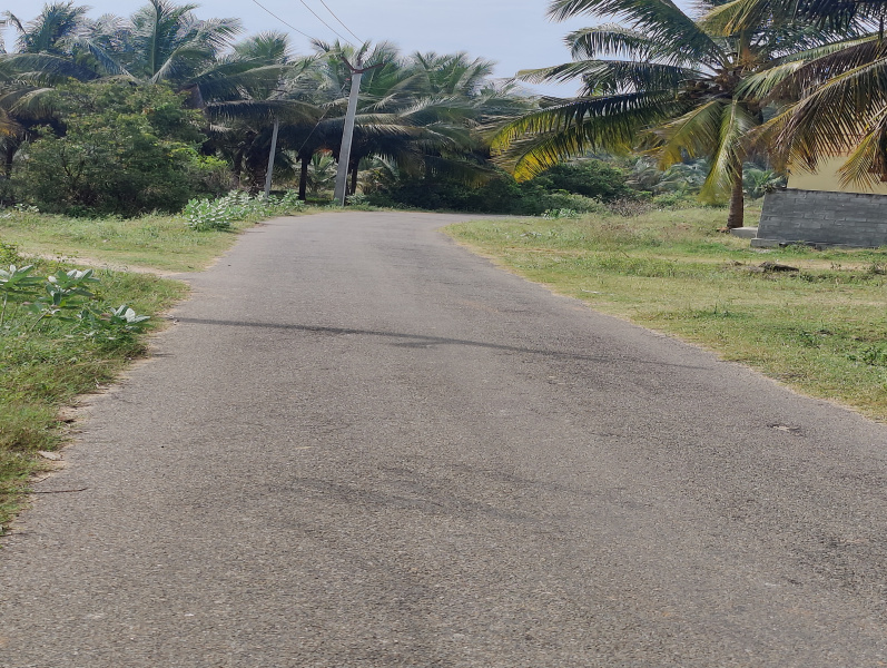  Agricultural Land 1 Cent for Sale in Mahalingapuram, Pollachi, Coimbatore