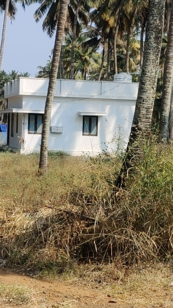  Agricultural Land 1 Ares for Sale in Mahalingapuram, Pollachi, Coimbatore