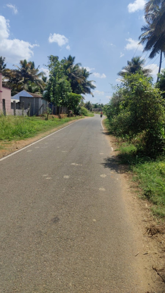  Agricultural Land 0 Acre for Sale in Pollachi, Coimbatore