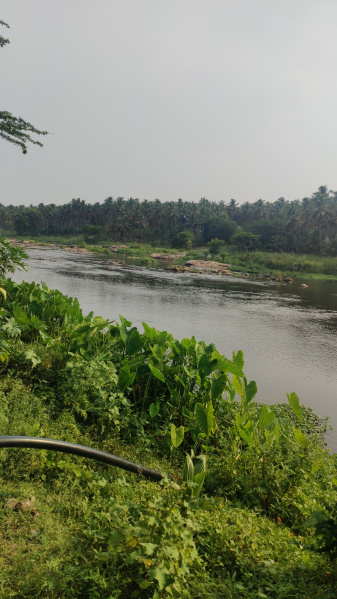  Agricultural Land 1 Acre for Sale in Mahalingapuram, Pollachi, Coimbatore