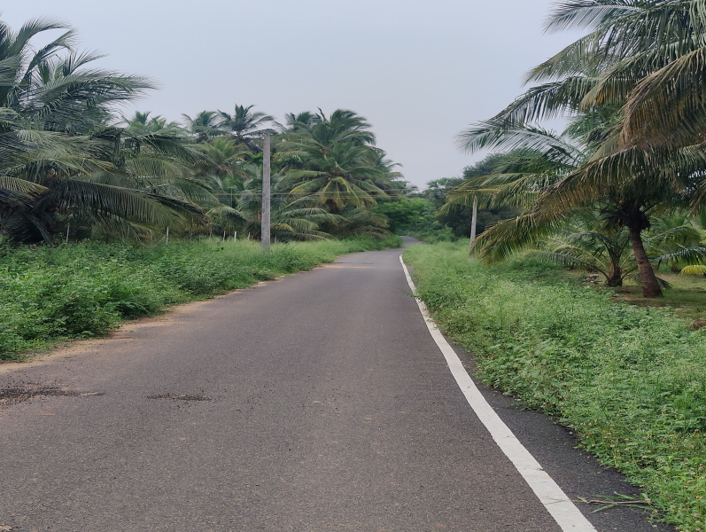  Agricultural Land 1 Acre for Sale in Mahalingapuram, Pollachi, Coimbatore