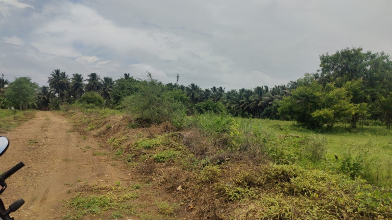  Residential Plot 1 Ares for Sale in Pollachi, Coimbatore