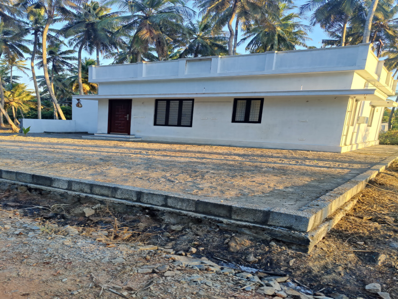  1 Ares Agricultural/Farm Land for Sale in Pollachi, Coimbatore