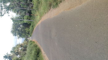  Agricultural Land for Sale in Mahalingapuram, Pollachi, Coimbatore