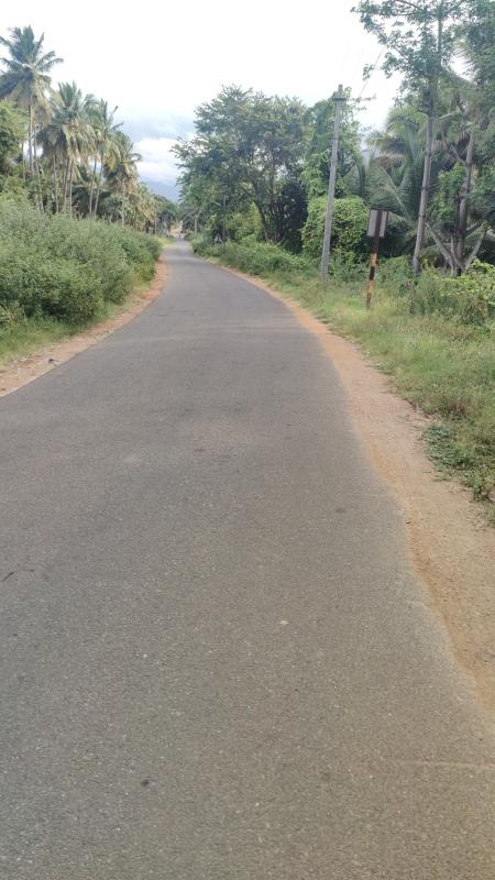  1 Ares Agricultural/Farm Land for Sale in Mahalingapuram, Pollachi, Coimbatore