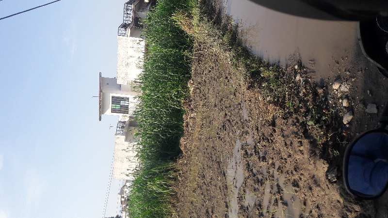 Commercial Land 280 Sq. Yards for Sale in Brahmanwala, Dehradun