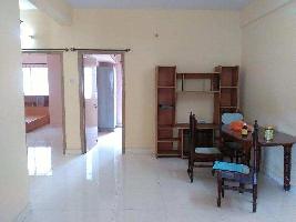 1 BHK Flat for Rent in Sector 90 Gurgaon