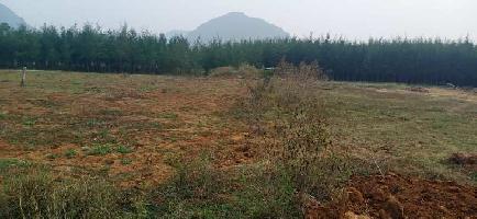  Agricultural Land for Sale in Seethammadhara, Visakhapatnam