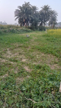  Residential Plot for Sale in Nawagarhi, Munger