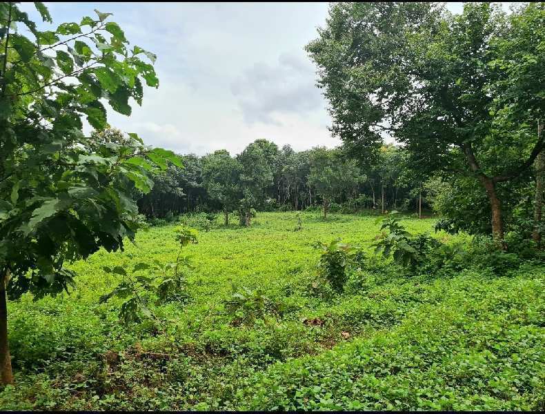 Residential Plot 5 Acre for Sale in Pazhayannur, Thrissur