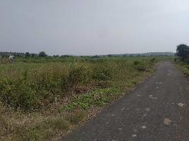  Agricultural Land for Sale in Chandur Bazar, Amravati