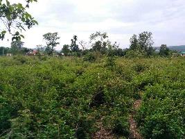  Agricultural Land for Sale in Baijnath, Kangra