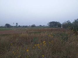  Agricultural Land for Sale in Nh 44, Rajpura
