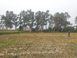  Agricultural Land for Sale in NH 1, Rajpura