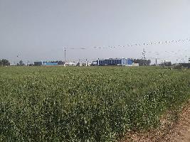  Industrial Land for Sale in NH 1, Rajpura