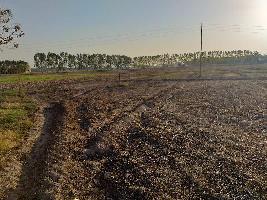  Commercial Land for Sale in Nh 44, Rajpura