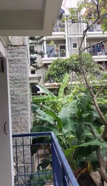 2 BHK Apartment 900 Sq.ft. for Rent in Gottigere, Bangalore