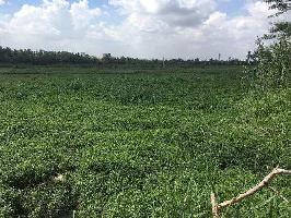 Agricultural Land for Sale in Varthur, Bangalore