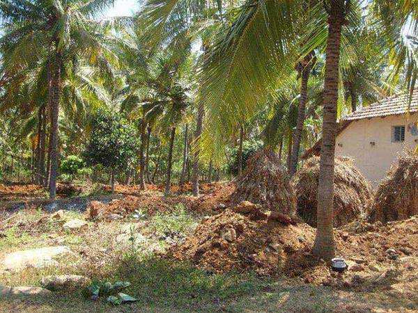 Agricultural Land 4 Hectares for Sale in Arsikere, Hassan