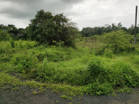  Residential Plot for Sale in Dodamarg, Sindhudurg