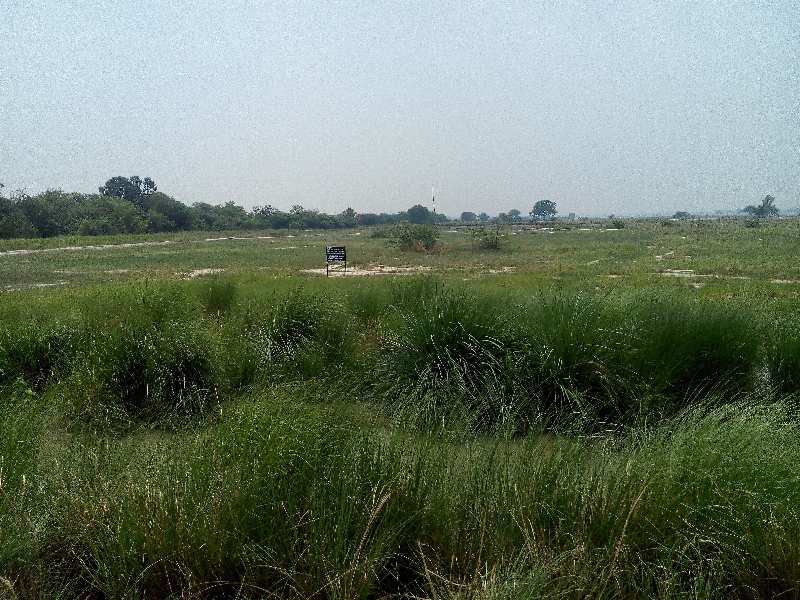 Agricultural Land 367500 Sq. Yards for Sale in Rasulabad, Kanpur Dehat
