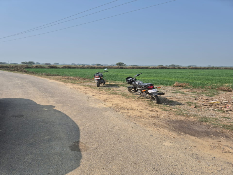  Agricultural Land 1 Acre for Sale in Sarvankhera, Kanpur Dehat