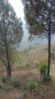  Residential Plot for Sale in Tehri, Tehri Garhwal