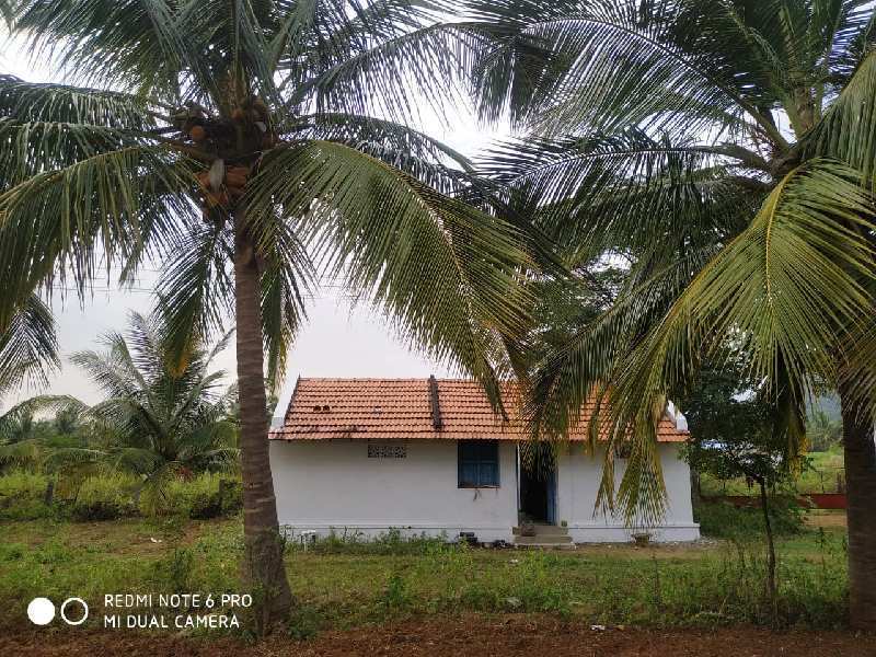 Agricultural Land for Sale in Sathyamangalam, Erode (REI683537)