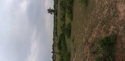  Agricultural Land for Sale in Sohagpur, Shahdol