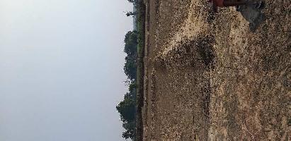  Agricultural Land for Sale in Birsinghpur, Umaria