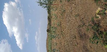  Agricultural Land for Sale in Umaria Road, Jabalpur